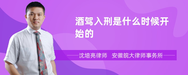 酒驾入刑是什么时候开始的