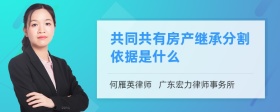 共同共有房产继承分割依据是什么