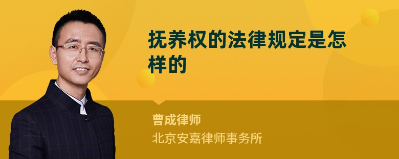 抚养权的法律规定是怎样的