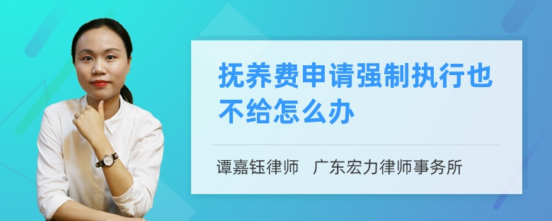 抚养费申请强制执行也不给怎么办