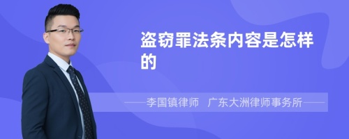 盗窃罪法条内容是怎样的