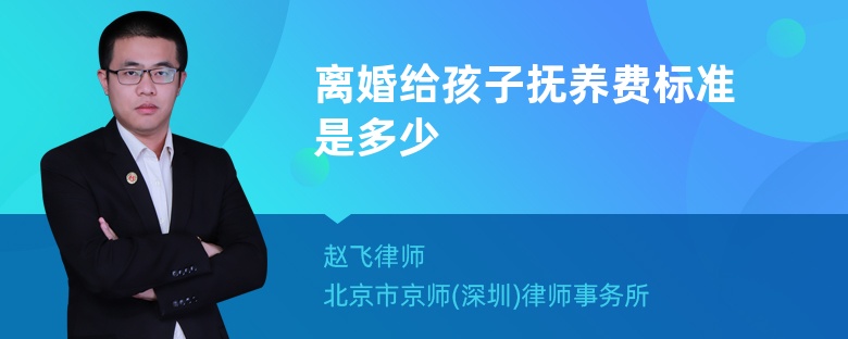 离婚给孩子抚养费标准是多少