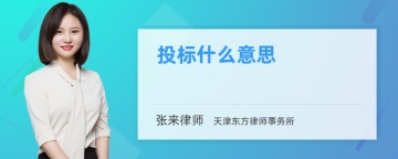 投标什么意思