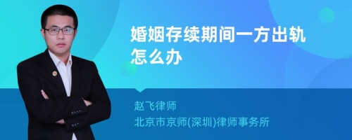 婚姻存续期间一方出轨怎么办