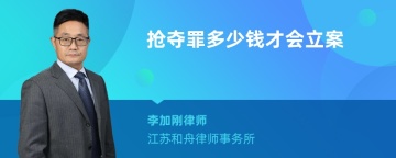 抢夺罪多少钱才会立案