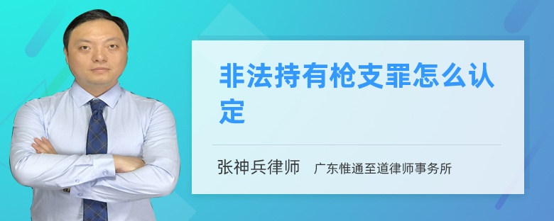 非法持有枪支罪怎么认定