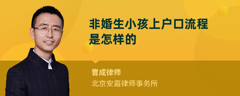 非婚生小孩上户口流程是怎样的