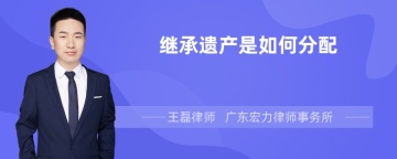 继承遗产是如何分配