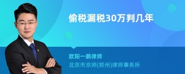 偷税漏税30万判几年