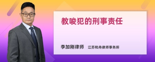 教唆犯的刑事责任