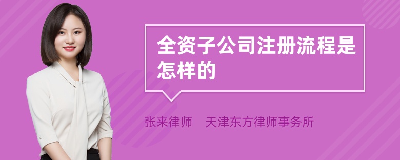 全资子公司注册流程是怎样的