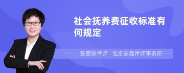 社会抚养费征收标准有何规定