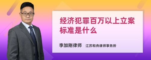 经济犯罪百万以上立案标准是什么