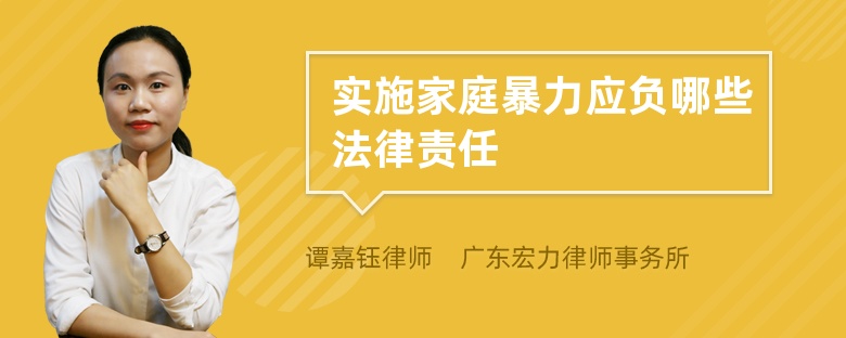 实施家庭暴力应负哪些法律责任