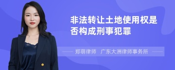 非法转让土地使用权是否构成刑事犯罪