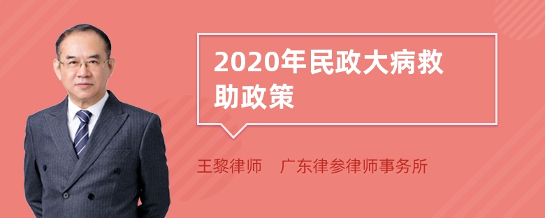 2020年民政大病救助政策