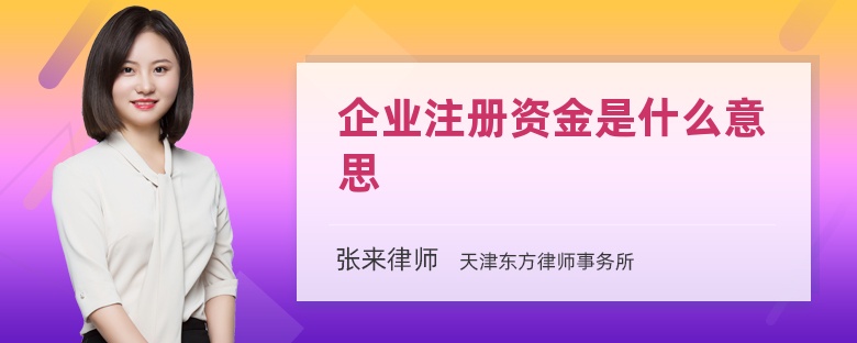 企业注册资金是什么意思