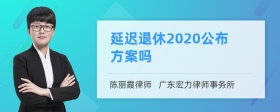 延迟退休2020公布方案吗