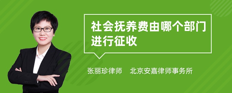 社会抚养费由哪个部门进行征收