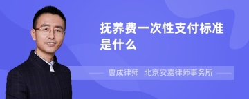 抚养费一次性支付标准是什么