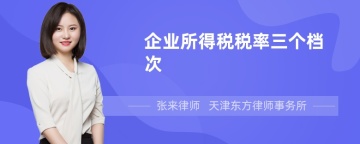 企业所得税税率三个档次