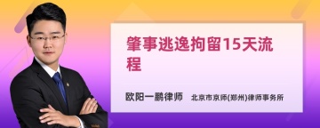 肇事逃逸拘留15天流程