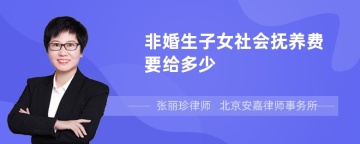 非婚生子女社会抚养费要给多少