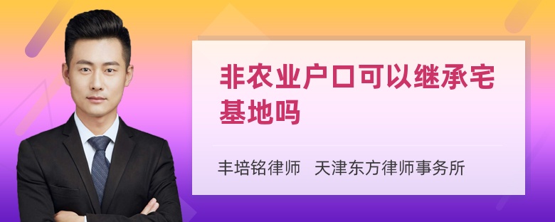 非农业户口可以继承宅基地吗