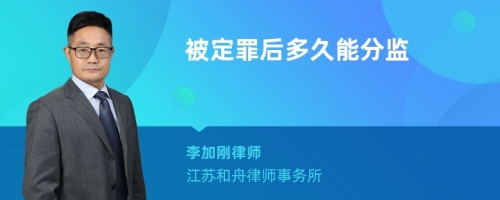 被定罪后多久能分监