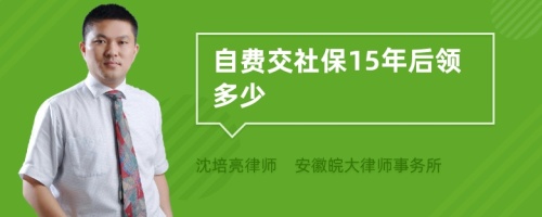 自费交社保15年后领多少