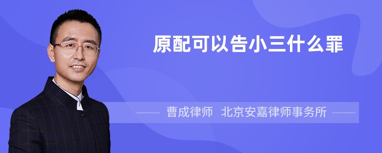 原配可以告小三什么罪