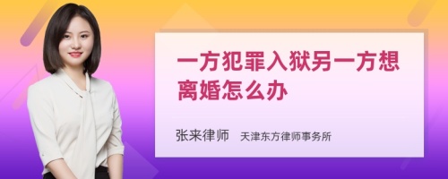 一方犯罪入狱另一方想离婚怎么办