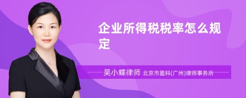 企业所得税税率怎么规定