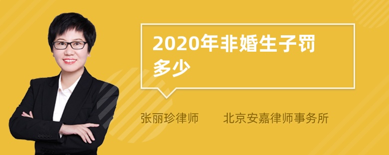 2020年非婚生子罚多少