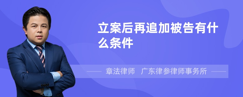 立案后再追加被告有什么条件