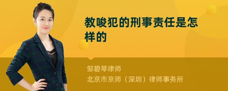 教唆犯的刑事责任是怎样的