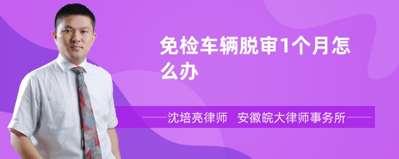 免检车辆脱审1个月怎么办