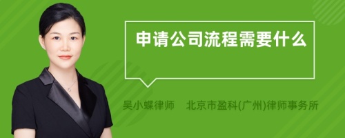 申请公司流程需要什么