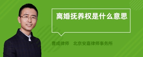 离婚抚养权是什么意思