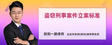 盗窃刑事案件立案标准