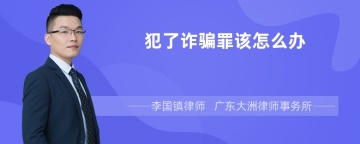 犯了诈骗罪该怎么办