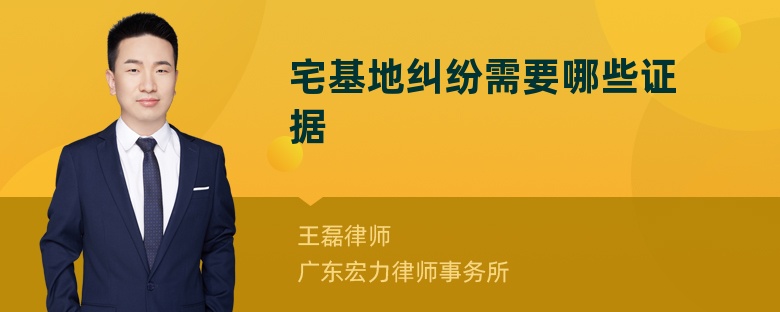 宅基地纠纷需要哪些证据