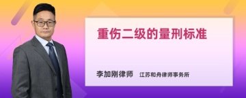 重伤二级的量刑标准