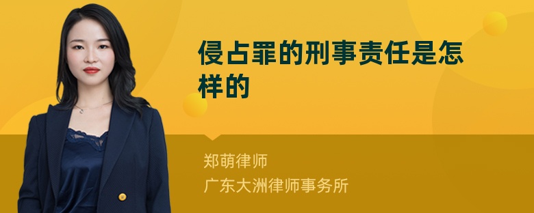 侵占罪的刑事责任是怎样的