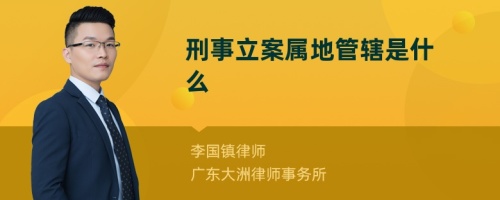 刑事立案属地管辖是什么