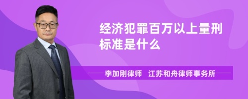 经济犯罪百万以上量刑标准是什么