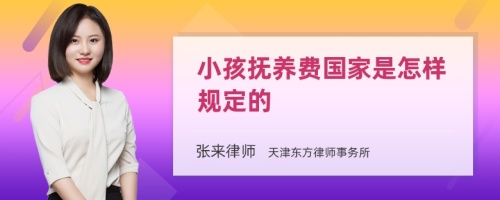 小孩抚养费国家是怎样规定的