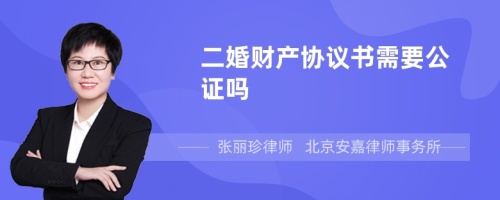 二婚财产协议书需要公证吗