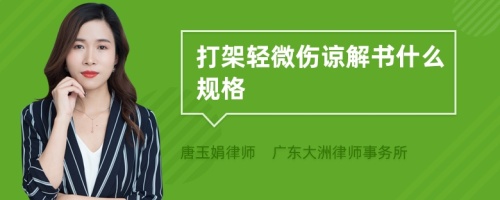 打架轻微伤谅解书什么规格