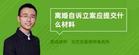 离婚自诉立案应提交什么材料